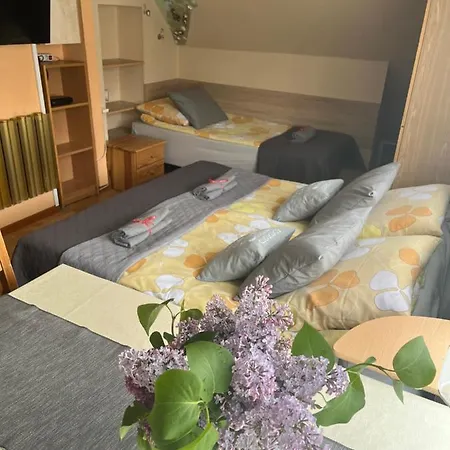 Goscinne Agata & Mikolaj * Władysławowo